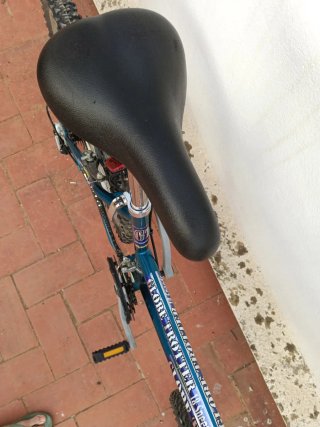 Bicicleta de montaña Globe Trotter