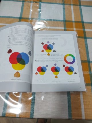 Libro Coloración Capilar