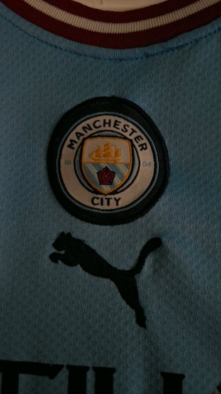 Camiseta Puma Manchester City Azul