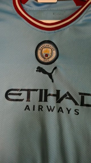 Camiseta Puma Manchester City Azul