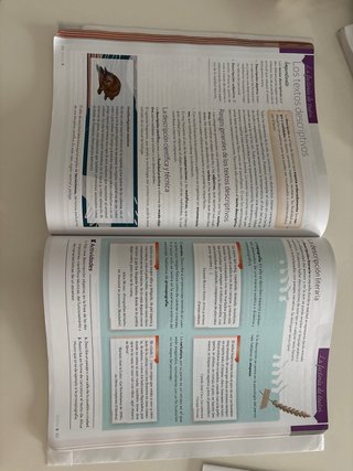 Lengua castellana y Literatura 3o ESO