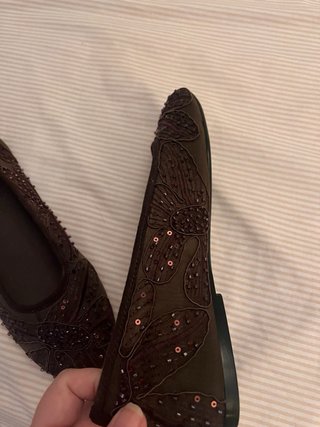 Bailarinas bordadas semitransparentes  Zara nuevas