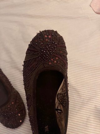 Bailarinas bordadas semitransparentes  Zara nuevas