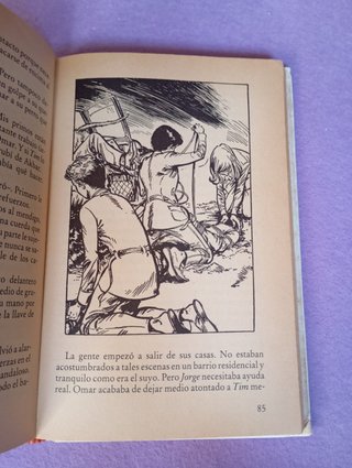 Libro: Los Cinco y El Rubí de Akbar / Los Cinco y.