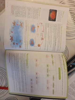 Biología y Geología 3.º ESO - C. Valenciana (Ca...