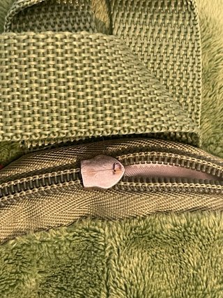 2 Mochilas Peluche