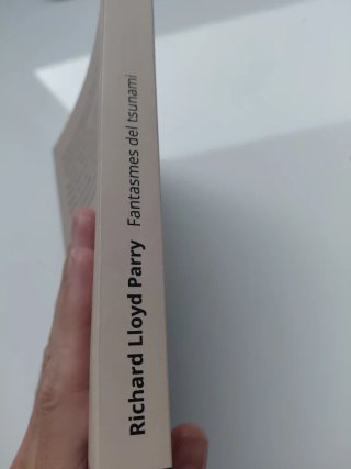 Fantasmes del tsunami