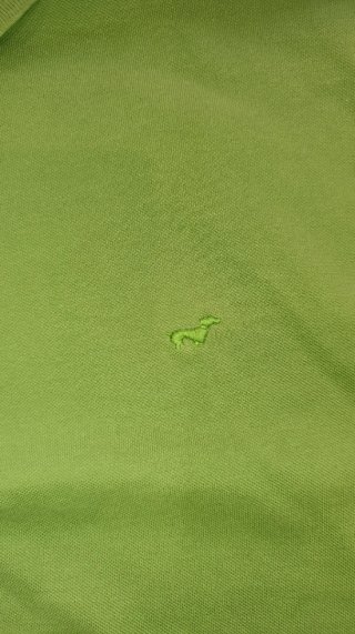 Polo Teckel Verde
