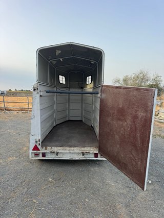 Remolque Van Caballos 1.5