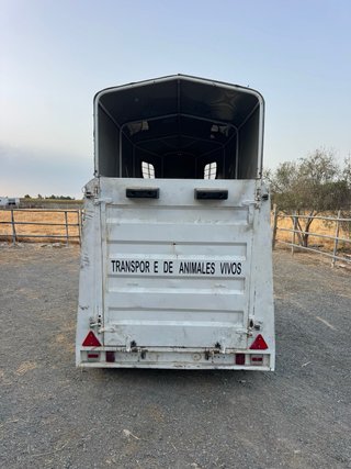 Remolque Van Caballos 1.5