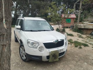 Skoda Yeti 2009