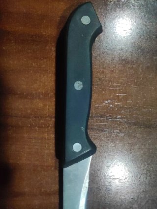 Cuchillo Jamonero Profesional