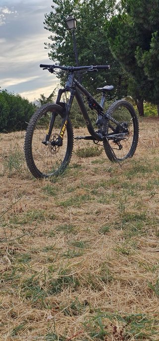 Commencal Meta AM 29 2021