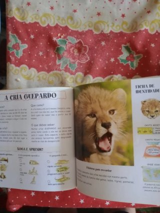 O meu pequeno animalario: As crías dos animais ...