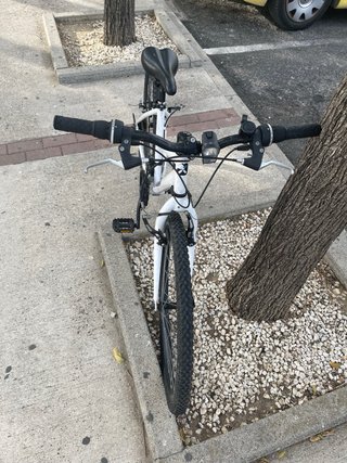 Bicicleta blanca
