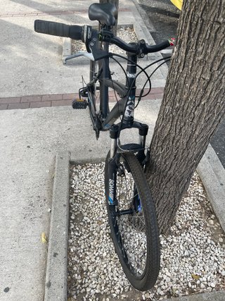 Bicicleta Negra