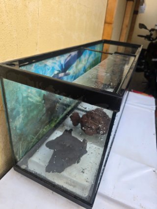 Acuario grande, ideal para terrario.