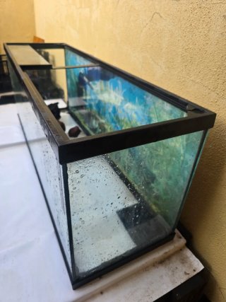 Acuario grande, ideal para terrario.