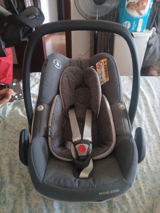 Maxi-Cosi Silla de Coche Bebé Gris
