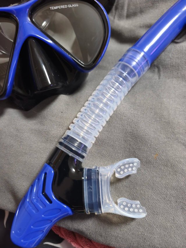 Set de snorkel: aletas, máscara y tubo