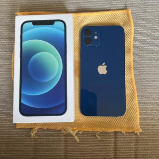 iPhone 12 64GB Blu 100% Funzionante