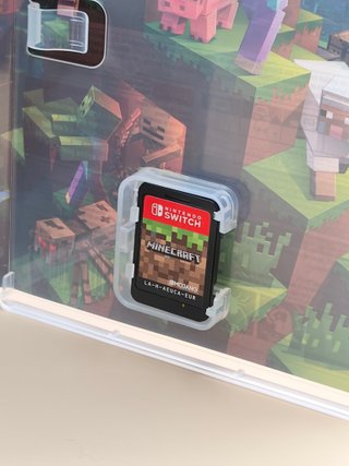 Minecraft Nintendo Switch