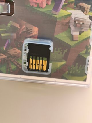 Minecraft Nintendo Switch