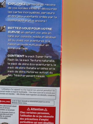 Minecraft Nintendo Switch