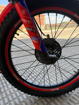 Beta Evo 290cc 2011 Trial