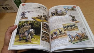 Manual de Campo para Generales