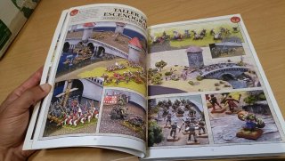 Manual de Campo para Generales