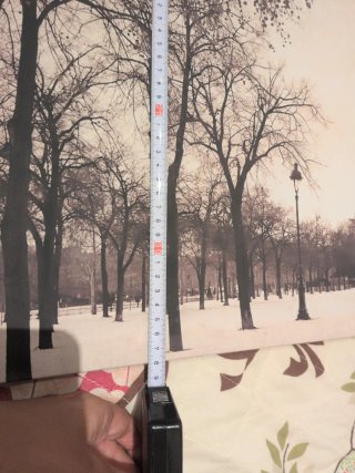 Cuadro Torre Eiffel Invierno