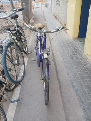 Bicicleta Peugeot Morada