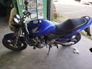 Honda CB600F Hornet 2000