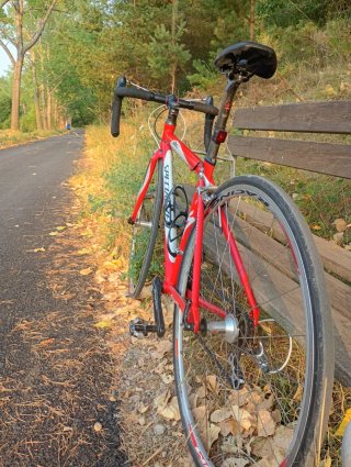 Bicicleta Carretera Specialized Talla Pequeña
