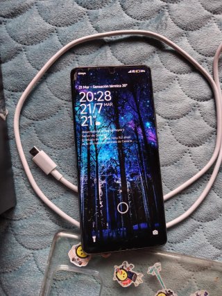 Xiaomi 13 Pro Negro/Multicolor