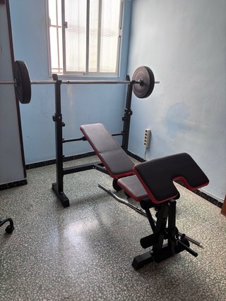 Banco reclinable con barra, discos y pesas 47,5 kg
