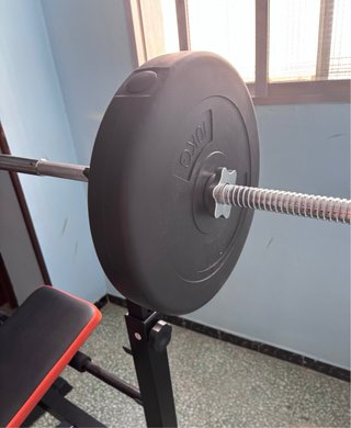 Banco reclinable con barra, discos y pesas 47,5 kg