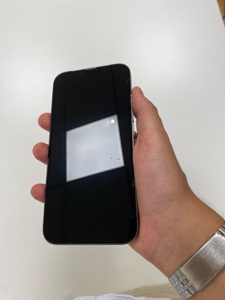 iPhone 13 Pro Max | NEGOZIO | GARANZIA