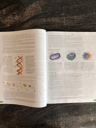 Biología, 2 bachillerato, Revuela