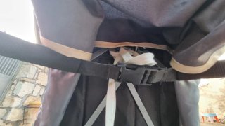 Silla de paseo infantil