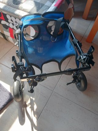 Carrito para perros o mascotas