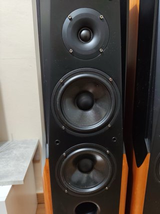 Altavoces Advance Acoustic Modelo-UM.60