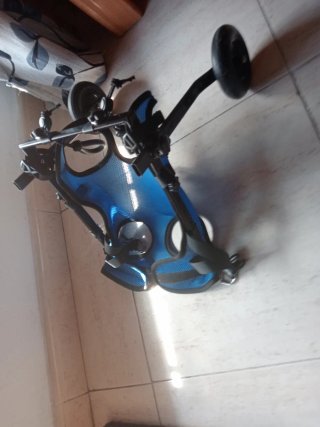 Carrito para perros patas traseras en mal estado