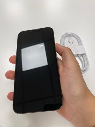 iPhone 13 Pro Max | NEGOZIO | GARANZIA