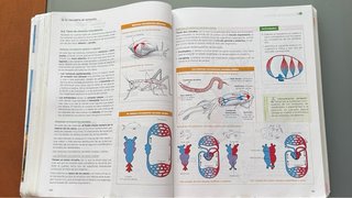 Libro Biologia 1 bachillerato 978-84-143-1132-5