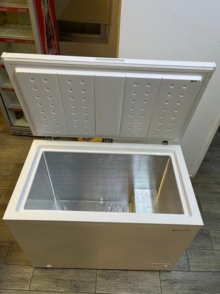 Arcón Congelador EAS Electric Gran Capacidad