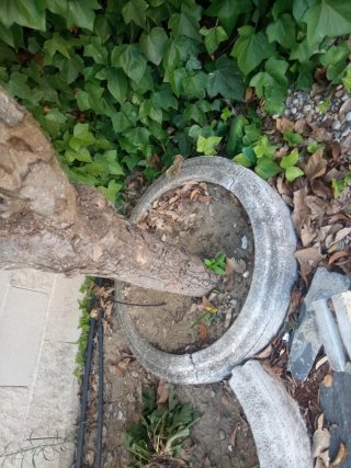 Bordillos blancos para jardineras