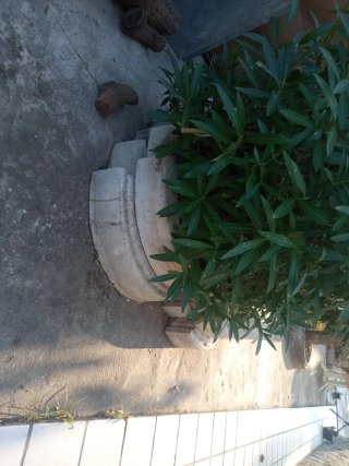Bordillos blancos para jardineras