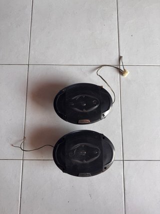 Altavoces Alpine Ovalados